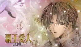 霸王爱人动画短视频,穿越时空的浪漫邂逅